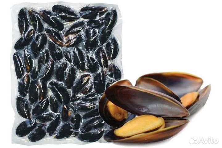 Мидии в раковине Премиум