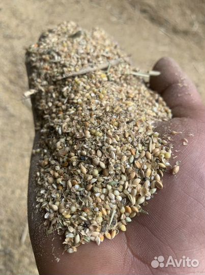 Отходы от проса