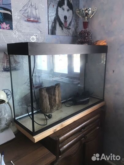 Аквариум