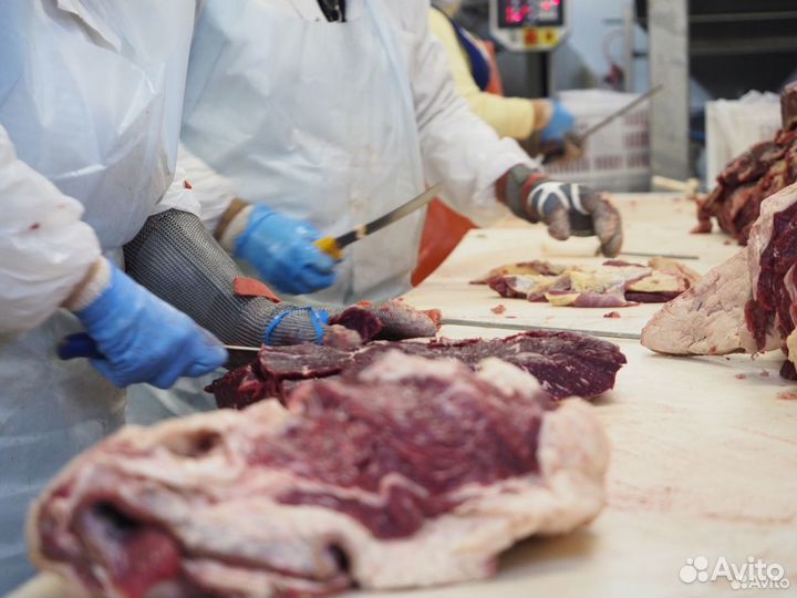 Нужен инвестор в бизнес, доход 31197