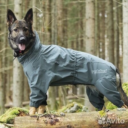 Новые rukka pets комбинезон 60 и поводок 2м