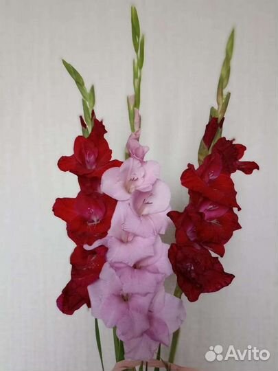 Букет цветов