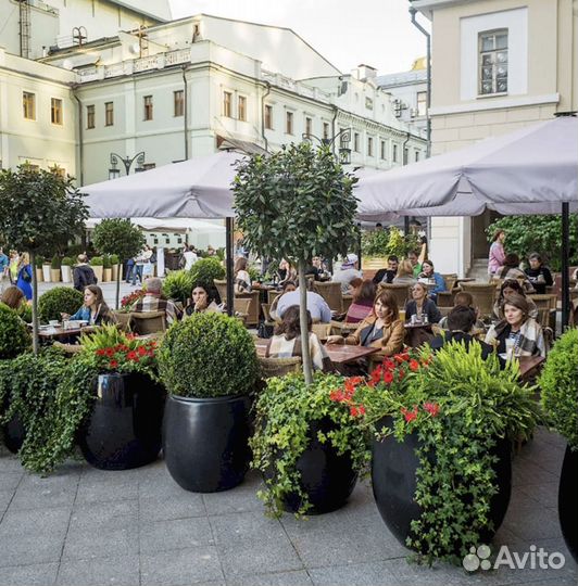 Профессиональный уличный зонт для кафе и веранды