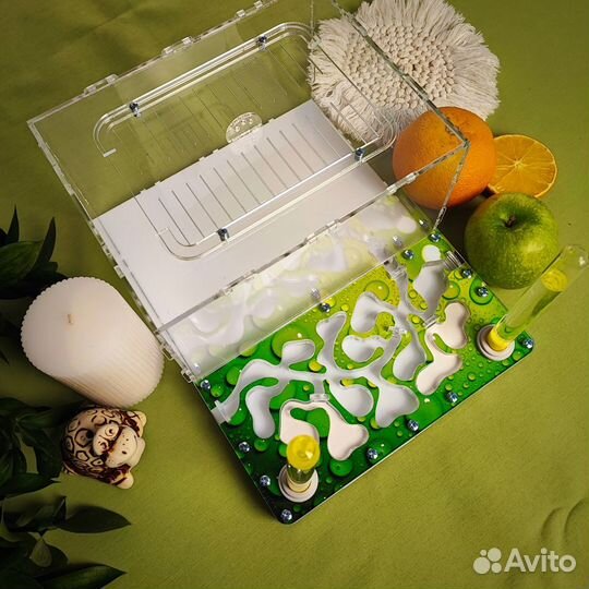 Муравьиная ферма 