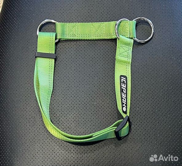 Одежда и амуниция для собак