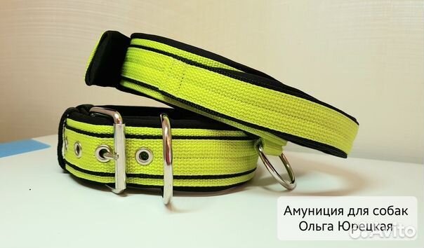 Ошейники и поводки для собак