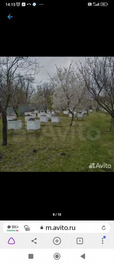 Участок 40 сот. (ИЖС)