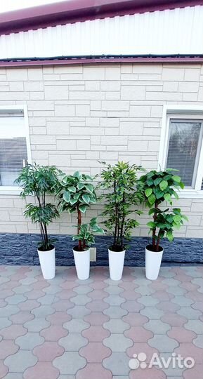Дерево искусственное бамбук,фикус,манго