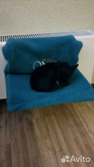 Лежанка для животного,франция