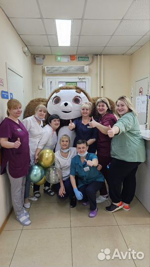 Поздравление от мишки чебурашки,сюрприз,ростовые