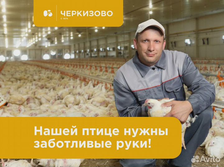 Помощник ветеринарного врача