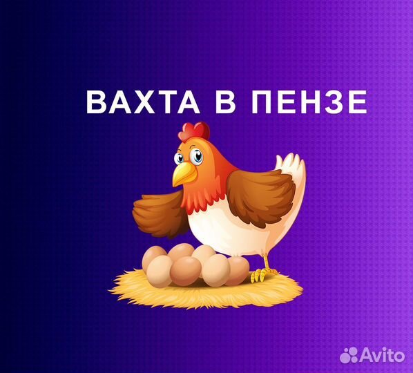 М и Ж / Вахта в Пензе / Упаковщик птицы