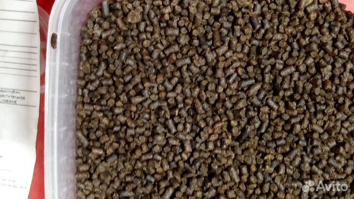 Корм для карпов