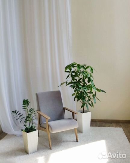 Аренда фотостудии