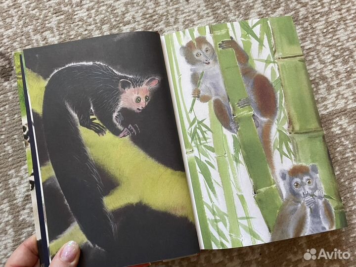 Книга С. Востоков 