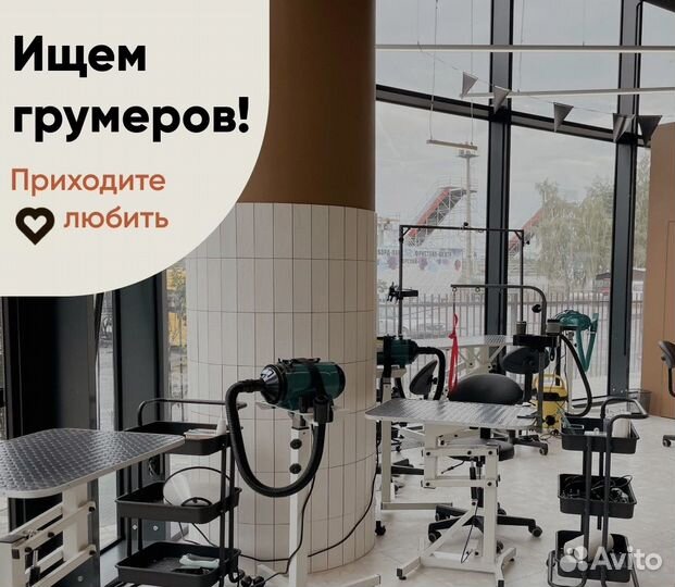 Вакансия Грумера