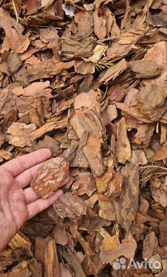 Мульча сосновая кора