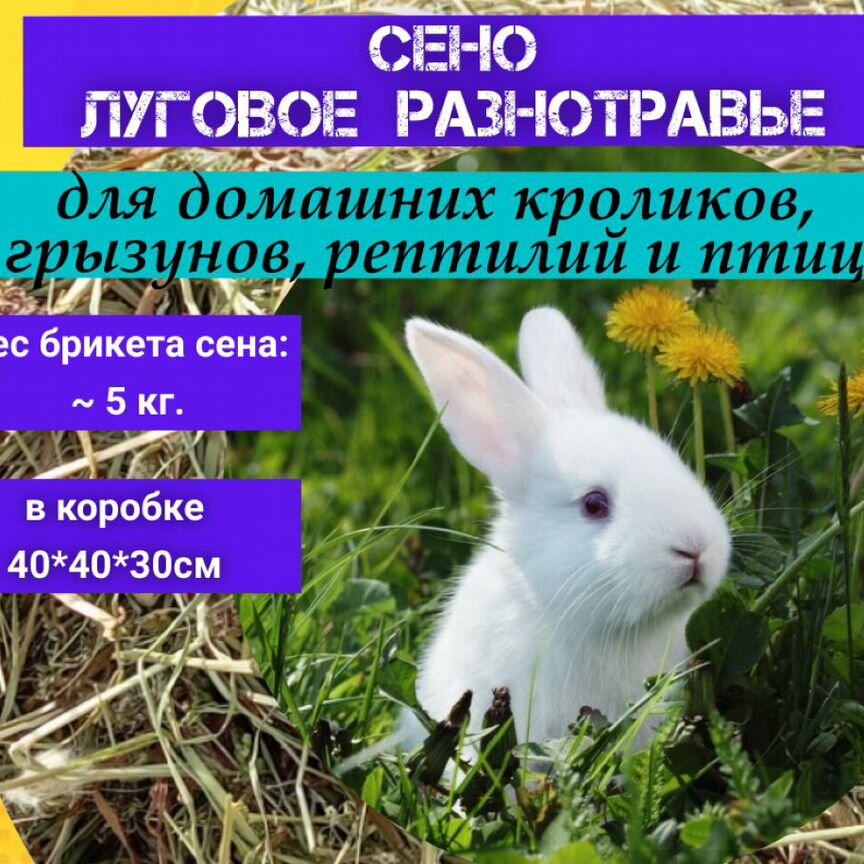 Продам сено 5 кг Авито доставка