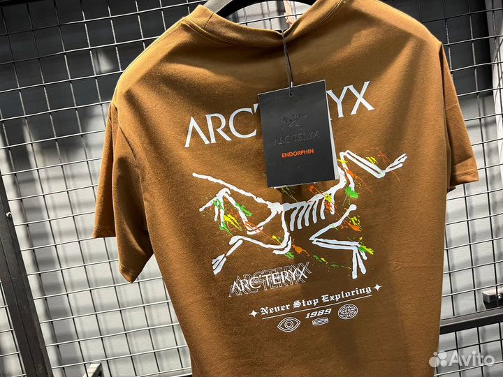 Футболка мужская arcteryx (Арт.31386)