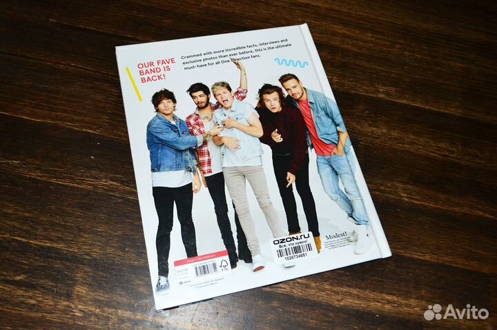 One Direction The Official Annual 2015