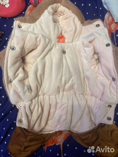 Одежда для маленьких собак