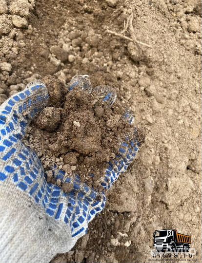 Грунт, земля серая (верхний слой земли )