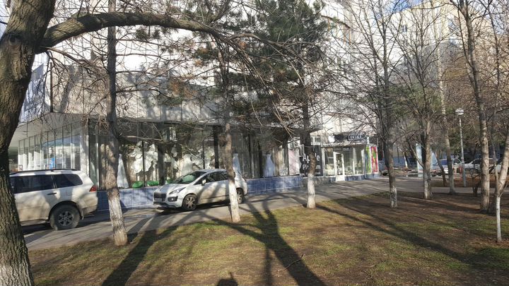 Торговая площадь, 265 м²