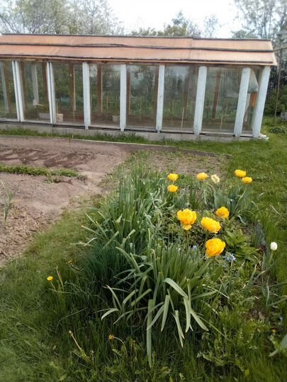 Дом 100 м² на участке 30 сот.