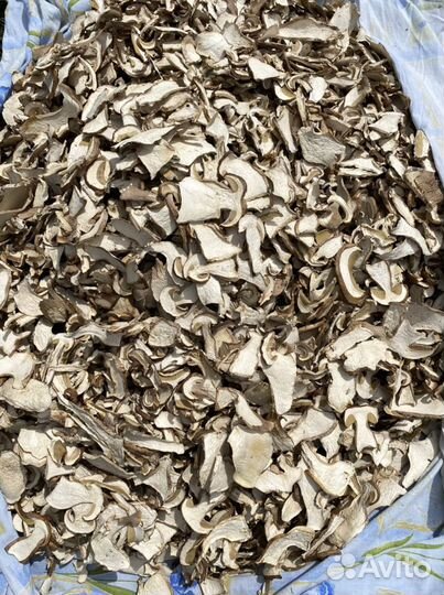 Грибы, белый сухой гриб