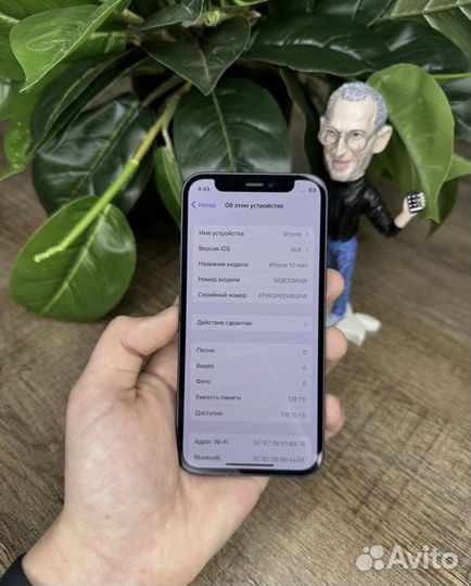 iPhone 12 mini, 256 ГБ