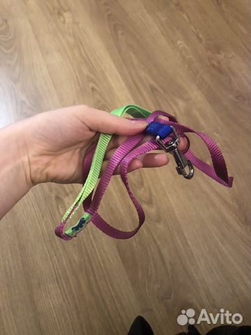 Поводок для собаки