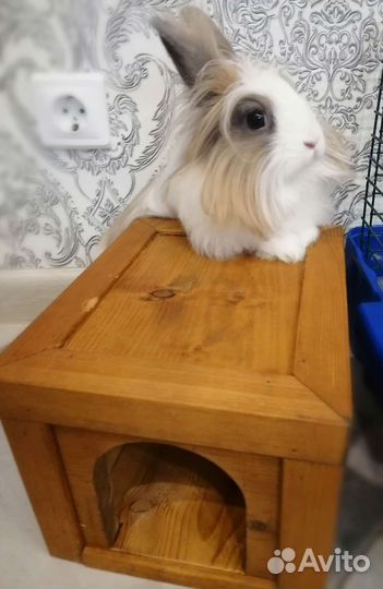 Домик для животных