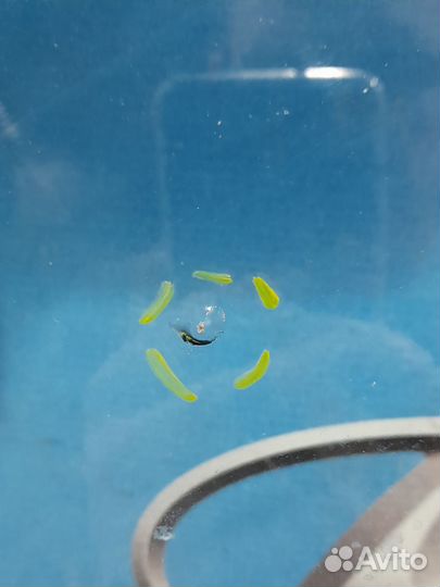 Стекло лобовое Renault megane 2