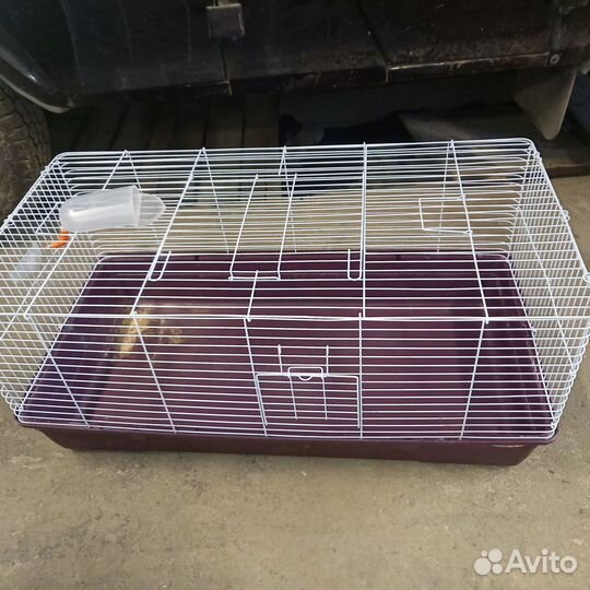 Клетка для грызунов большая