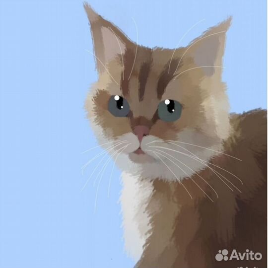 Нарисую Вашего питомца