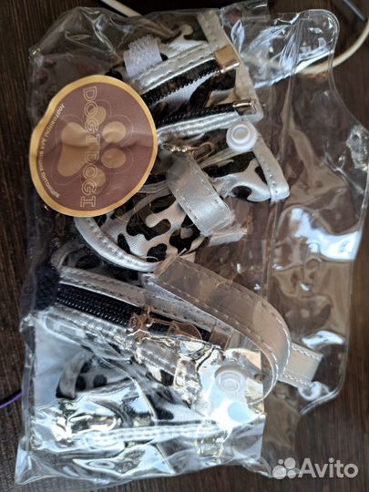 Одежда для собак мелких пород