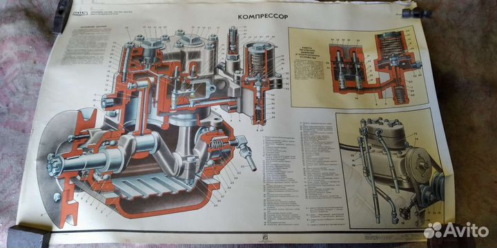 Плакаты учебные(ссср)