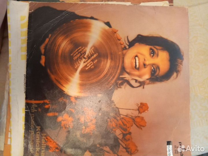 Виниловые пластинки много разных