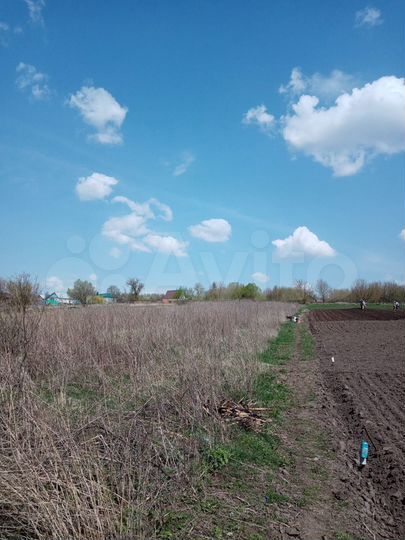 Дом 65 м² на участке 50 сот.