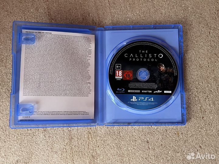 The callisto protocol