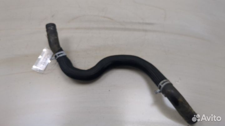 Патрубок охлаждения Ford Focus 4 2018, 2020