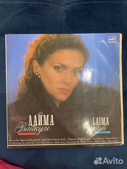 Виниловые пластинки