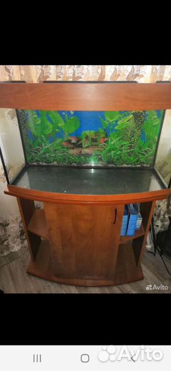 Аквариум