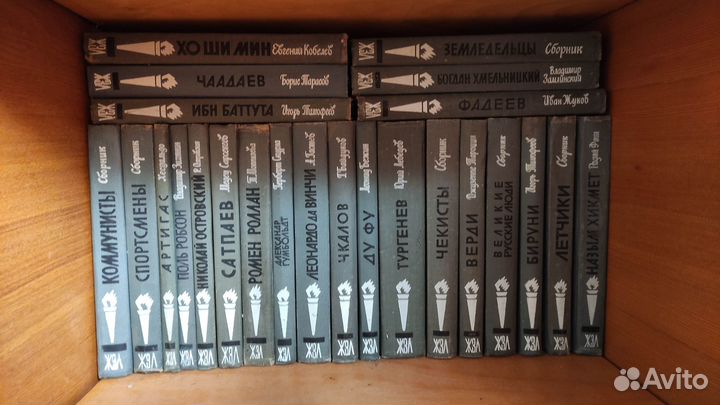 Жзл. Жизнь замечательных людей. 96 книг