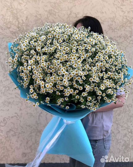 Цветы ромашки. Букеты ромашек. Цветы доставка