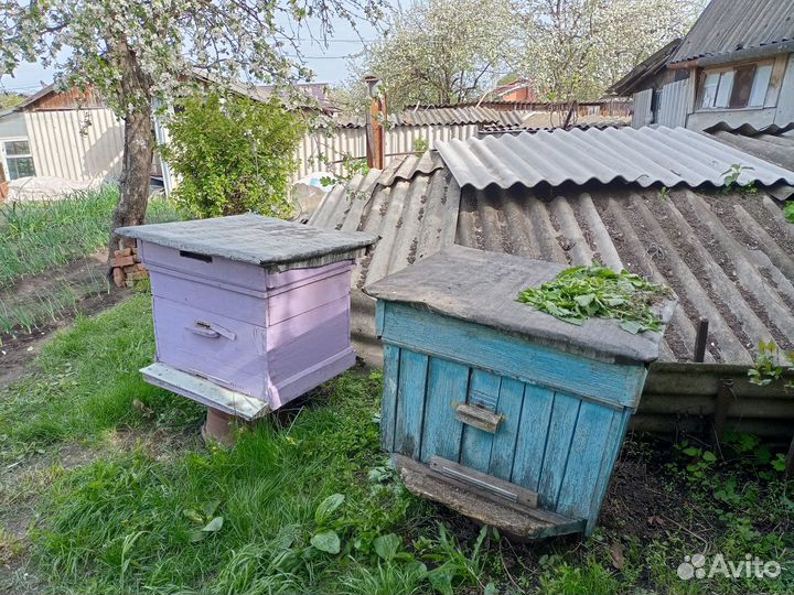 Продам ульи для пчел