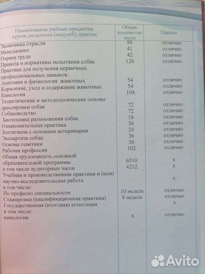 Инструктор по дрессировке