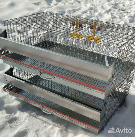 Клетка для перепелов, цыплят