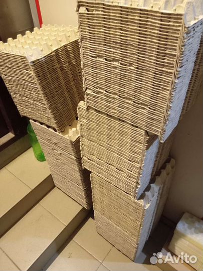 Лотки под яйца