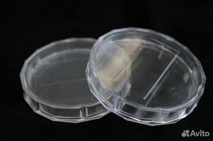 Коробка для хранения чашка петри 2 шт